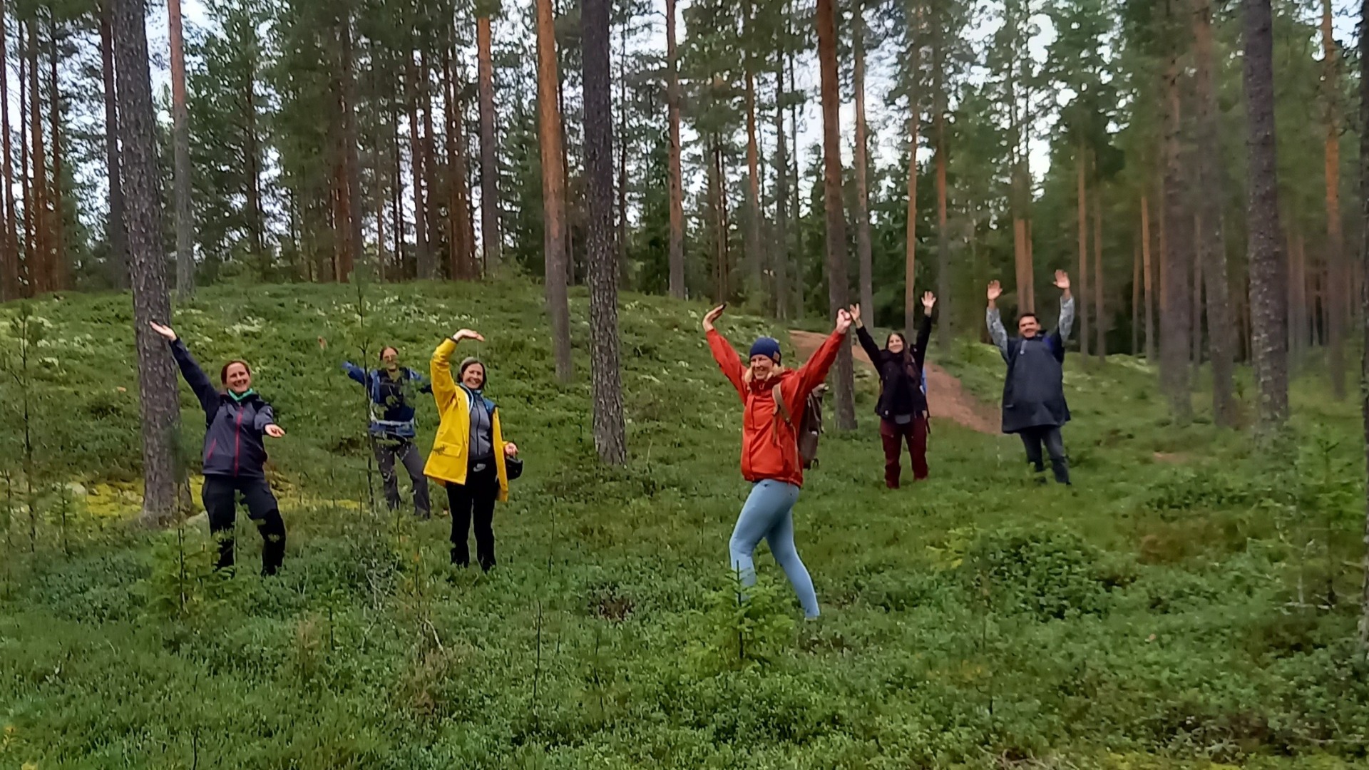 Autumn and the forests are for berry picking.